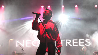 New Neon Trees - El Diablo