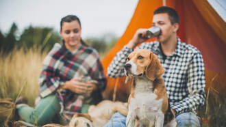 Chris Davis - Happy National Root Beer Float Day! 