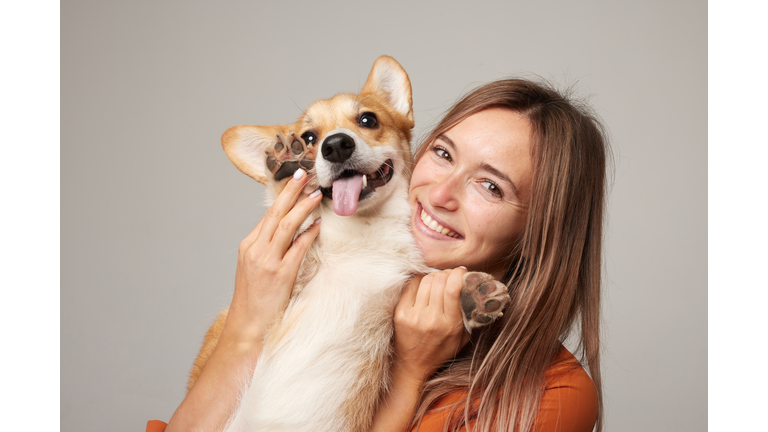 a brunette girl holds and hugs a red corgi dog on a clean light background, the concept of love for animals