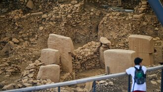 Ancient Carvings May Depict Comet and World's First Calendar