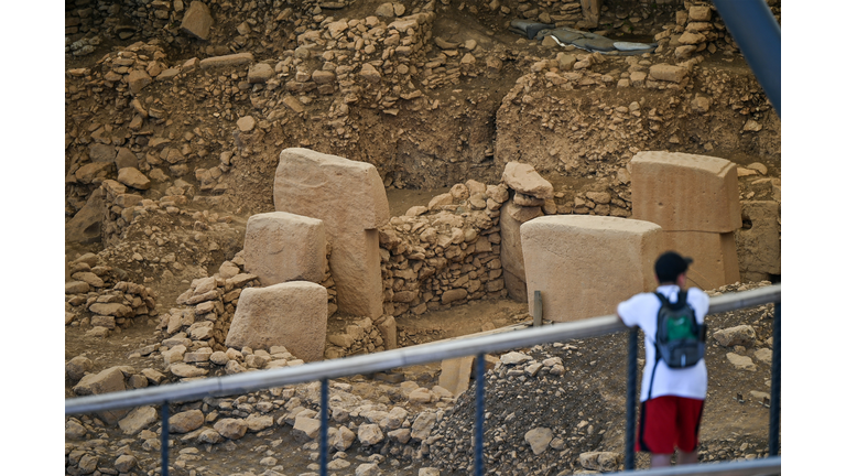 Ancient Carvings May Depict Comet and World's First Calendar