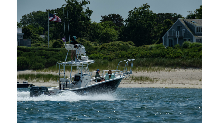 US-SHARKS-TOURISM-GREAT WHITE SHARKS