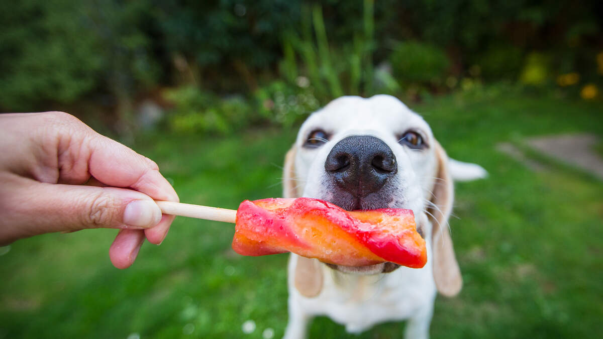 Happy National Creamsicle Day! Now 93.3 Chris Davis