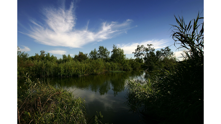 West Nile Virus Mosquitoes Return Early To California