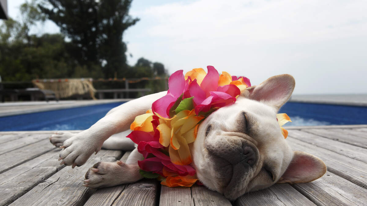 Happy National Relaxation Day! WNCI 97.9 Chris Davis