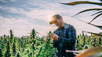 Hemp Farming / Chemtrails