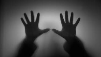 Marc 'The Cope' Coppola - Cope's Wikipedia Still Stolen For Both His Hollywood Family & Radio Career!