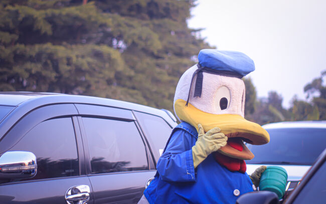 Donald Duck