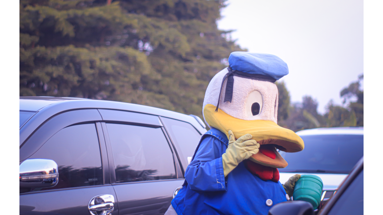 Donald Duck