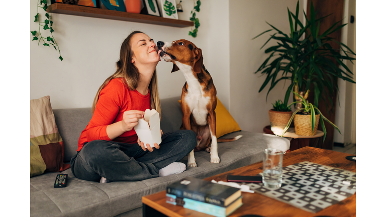 Grateful hound dog licking his female owner on the checks after she gave him a bite a morsel of her take out food