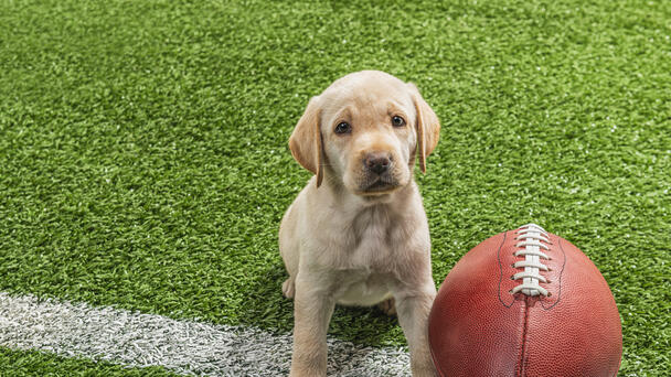 NFL TNF Broncos Win Men's Women's Coll BB NHL HS FB Fri Lyman Hall/Branford