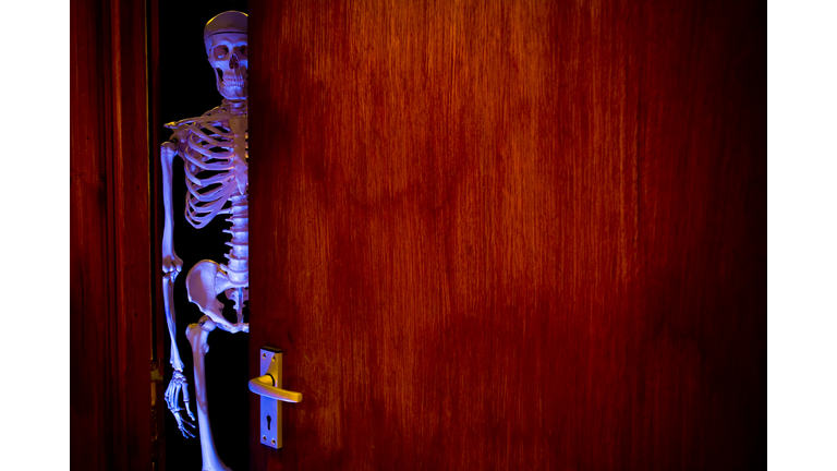 Skeleton in the Cupboard