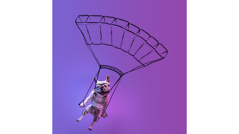 Modern artwork. One cute little dog, bulldog parachutes isolated on gradient neon pink blue studio background with drawings.