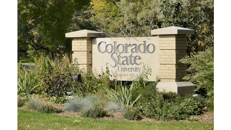 Colorado State University