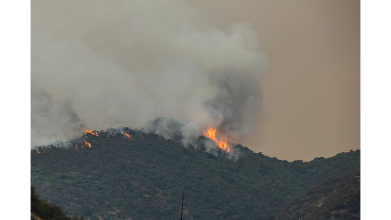 The Line Fire Continues To Grow In San Bernardino County, California