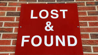 Shock Collar Question (12/17/25)