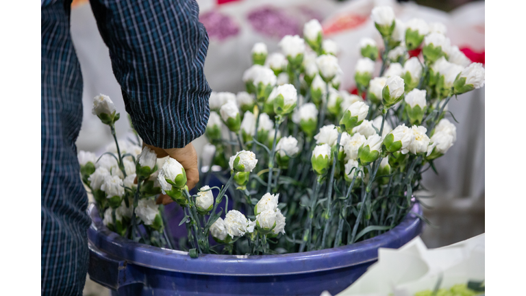 a vendor arranging white carnations at the wholesale market.