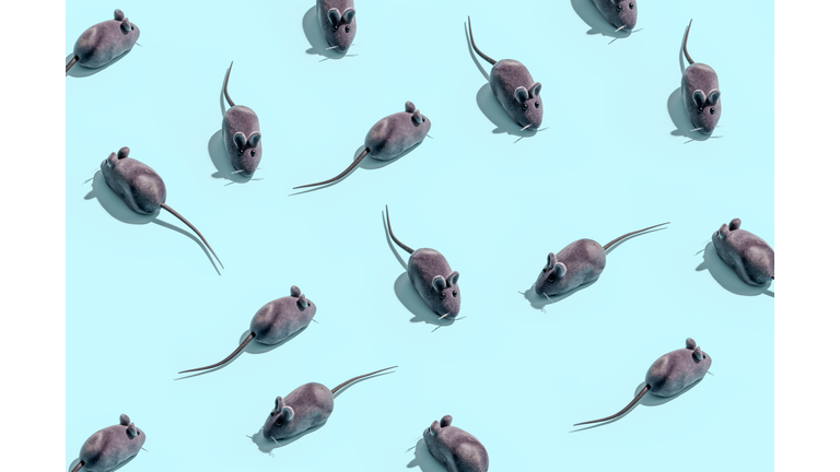 Some Toy Mice Isolated on Blue Background