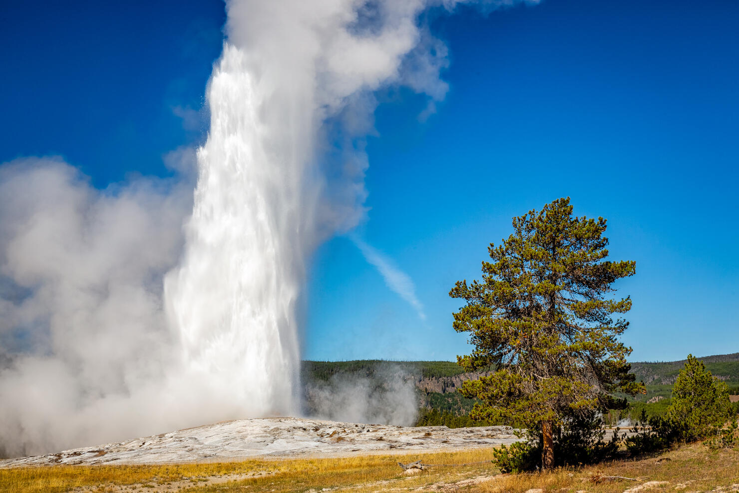 Old Faithful Geyser - Yellowstone National Park