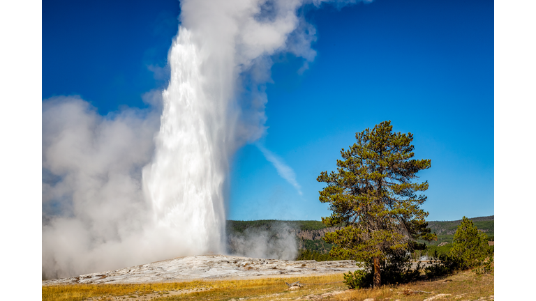 Old Faithful Geyser - Yellowstone National Park