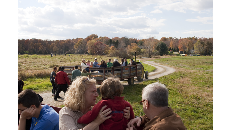 Hayride