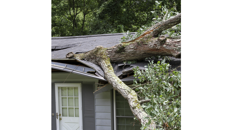 Big Tree Tears House Roof Assunder During a Storm