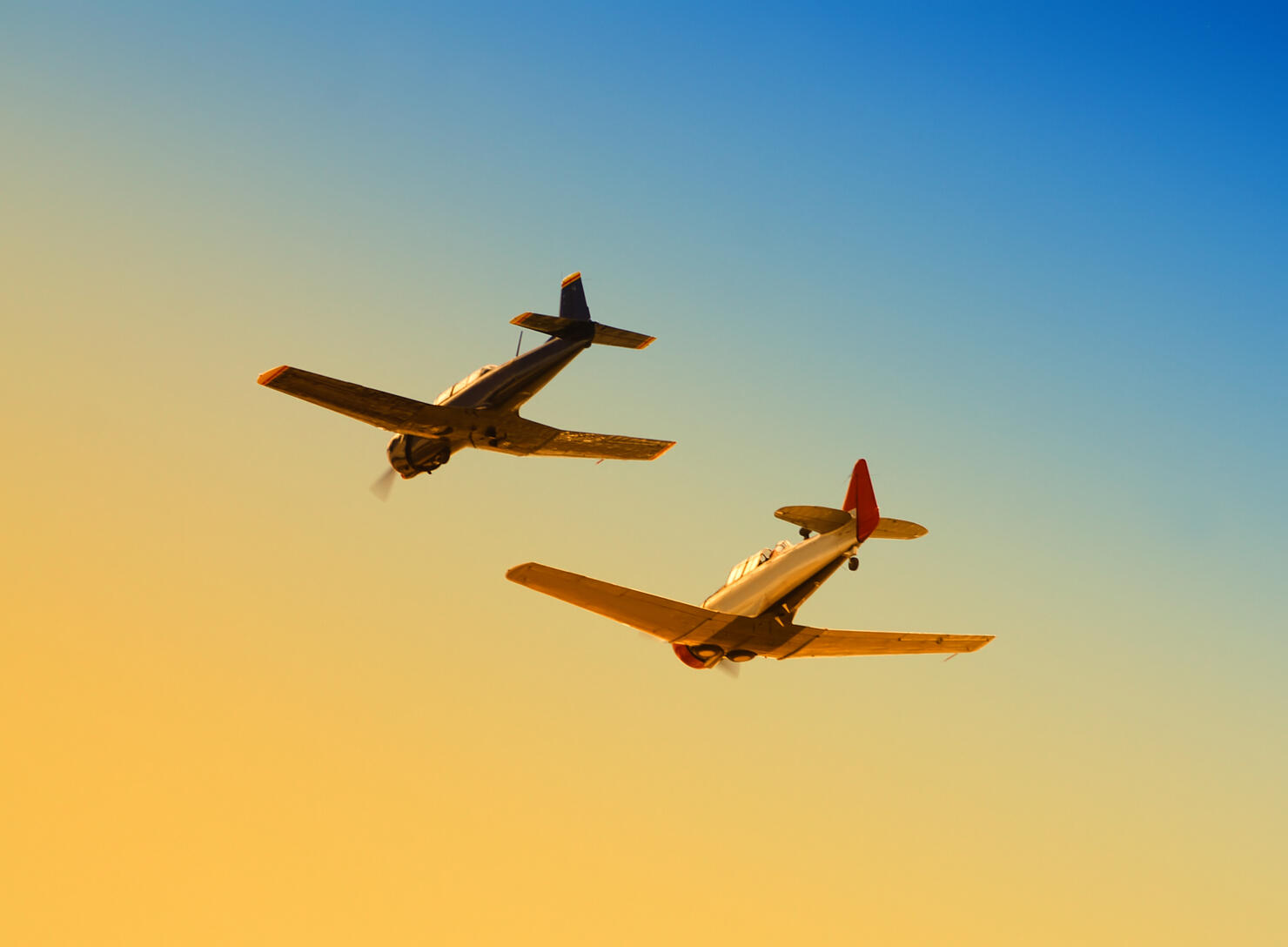 Two planes flying together in the sky