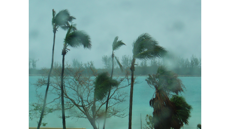 Hurricane windswept scene thru raindrop bokeh