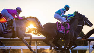 Explore the Horse Capital of the World