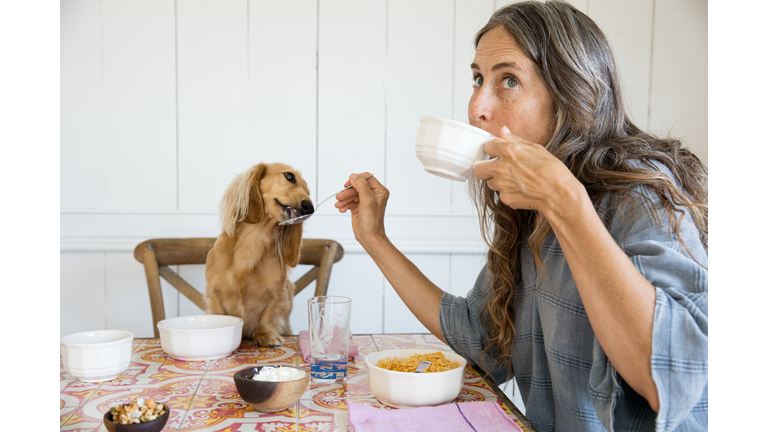 Woman feeding her dog breakfast from the table like a baby