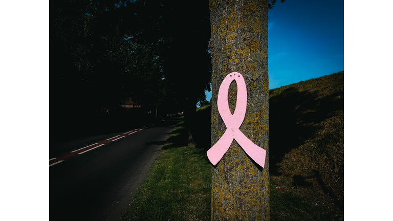 FRANCE-NATIONAL-BREAST-CANCER-AWARENESS-MONTH