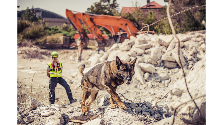 Rescuer search with help of rescue dog