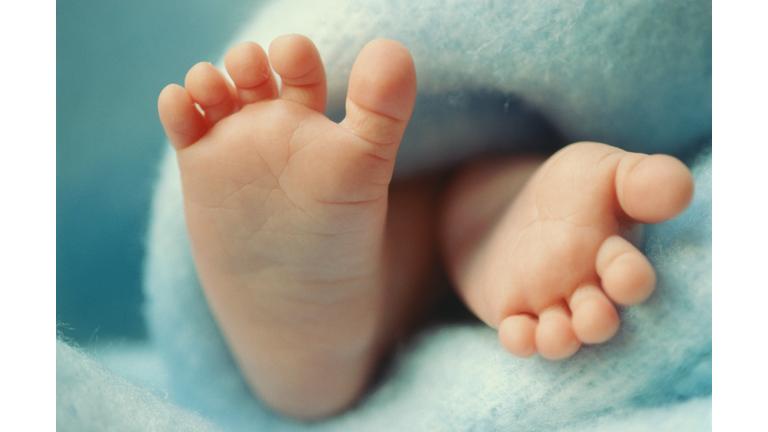 Baby's feet (0-3 months), close-up