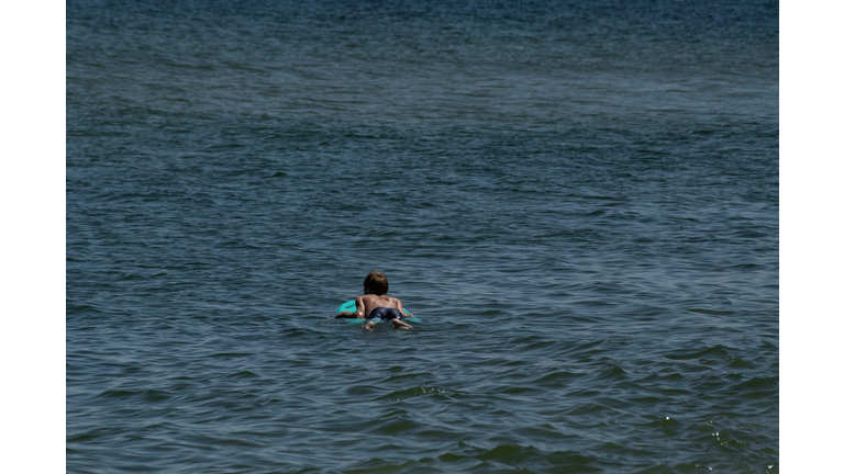 US-ANIMAL-ENVIRONMENT-SHARKS