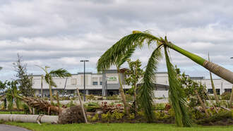 Hurricane Milton: Aftermath Guide