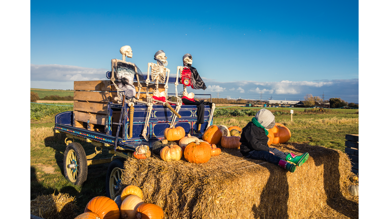 Halloween pumpkins