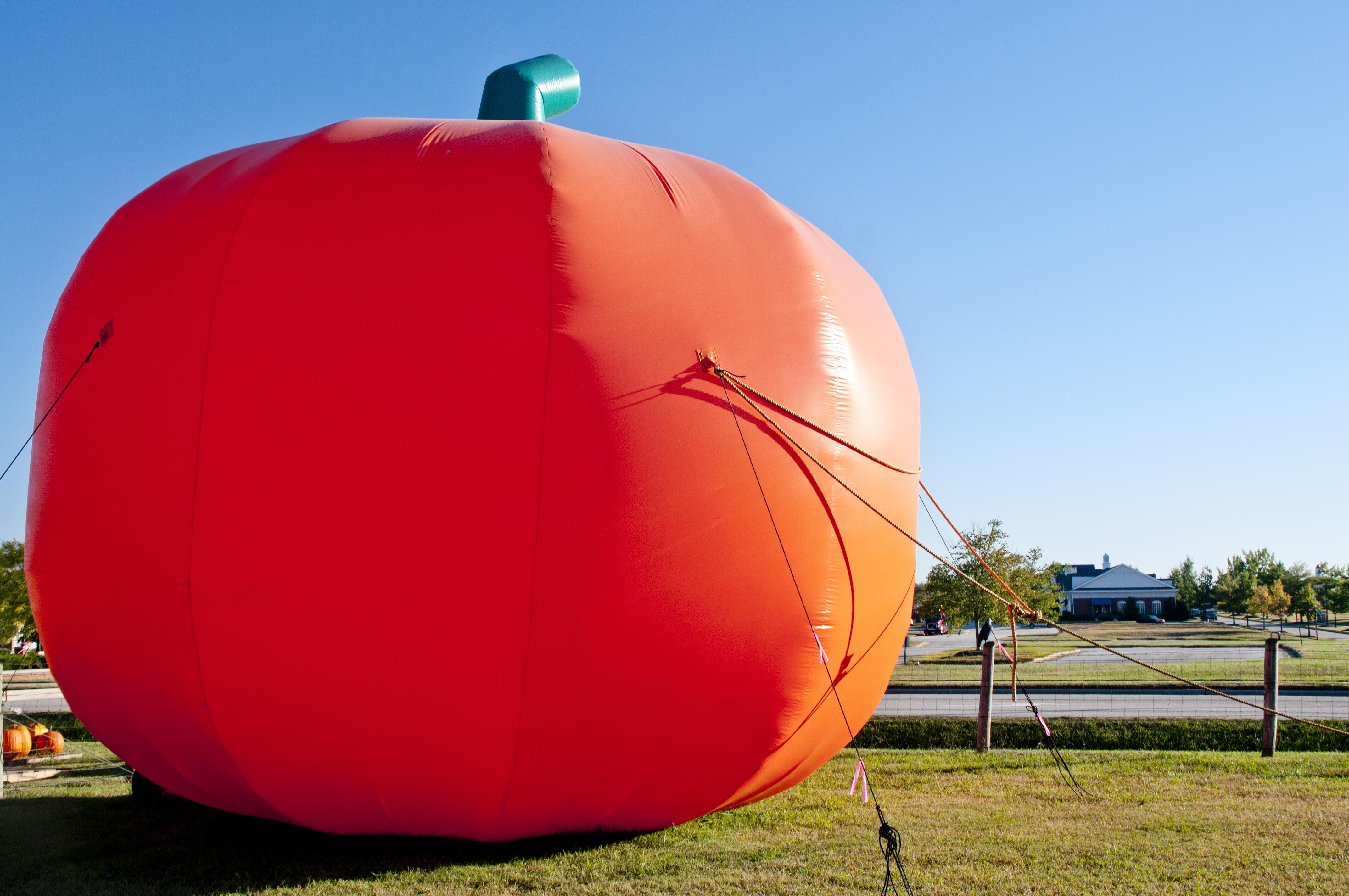 Watch! A Runaway Inflatable Pumpkin Attacked A Police Officer In Ohio ...