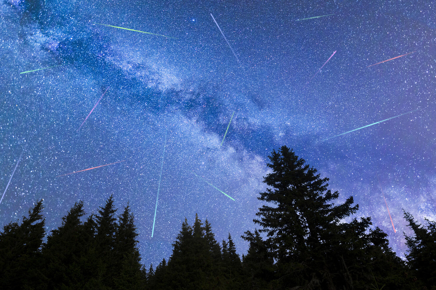 Blue Milky way falling stars pine trees silhouette