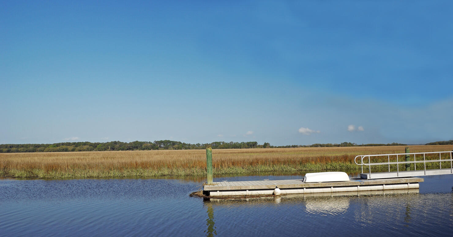 Sapelo Island Georgia USA