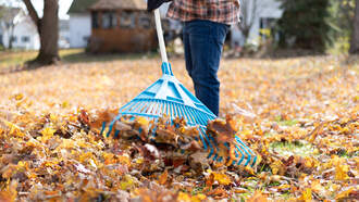 Kelce Brothers’ Beer Brand Makes A Rake That Holds A Beer