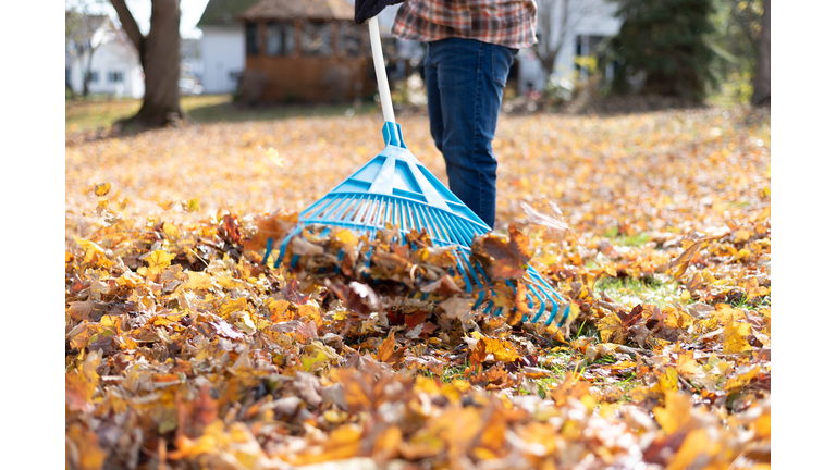 Low angle view of man raking leaves