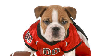 NFL TNF Pats Beat Jets, NBA, NHL, MLB, HS Football Fri Lyman Hall/Guilford