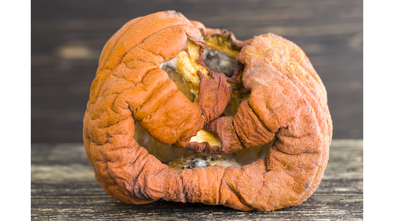 pumpkin in dangerous mold