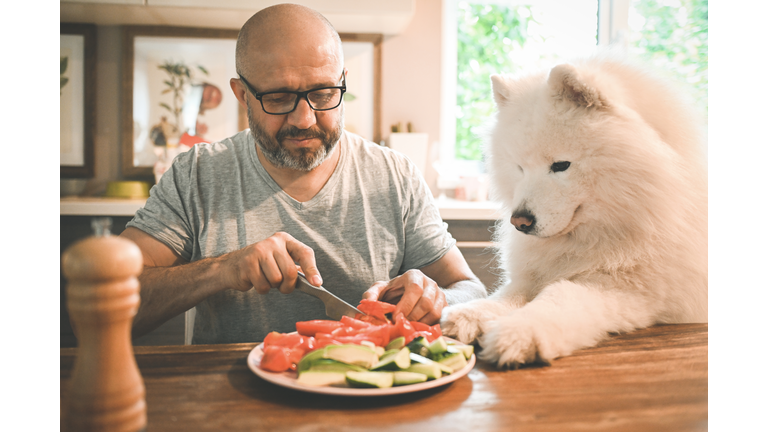 mature adult man with samoyed dog