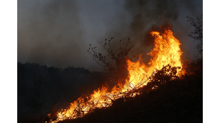 Hill forest fire near the road