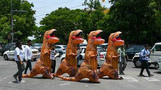 Dinosaur Costume-Wearing Suspect Arrested for Burglary