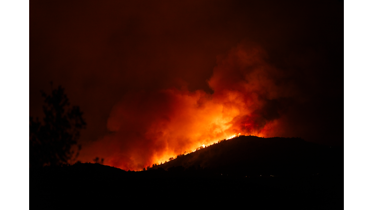 Forest fire burning at night