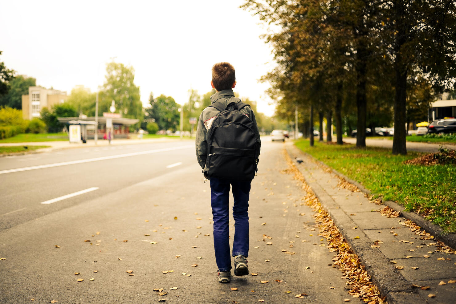schoolboy walk alone