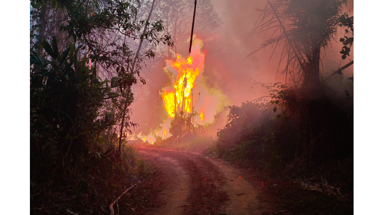 BOLIVIA-FIRE-AGRICULTURE-ENVIRONMENT