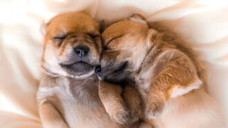 The Situation on Wednesday 12-3-25